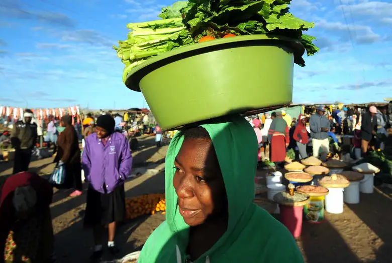 Zimbabwe’s women decry political underrepresentation