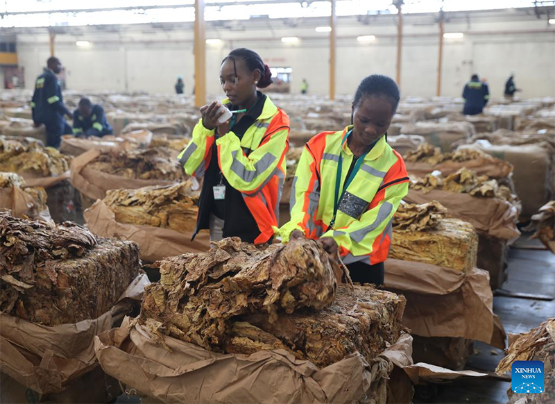 ‘We are exporting jobs’ – says VP as 98 percent of Zimbabwe’s tobacco sold in raw form