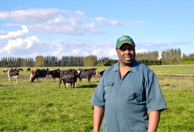 Farming in New Zealand is easy: Zimbabwean Maponga into beef and mushroom production