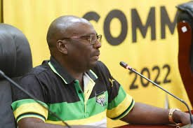 ANC Provincial Secretary Reuben Madadzhe