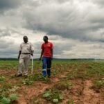 Zimbabwe launches new land policy to empower Black farmers with direct farm ownership