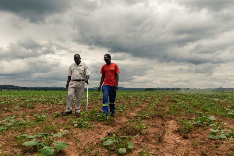 Zimbabwe launches new land policy to empower Black farmers with direct farm ownership