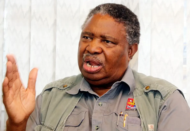 Former Vice President Report Phelekezela Mphoko