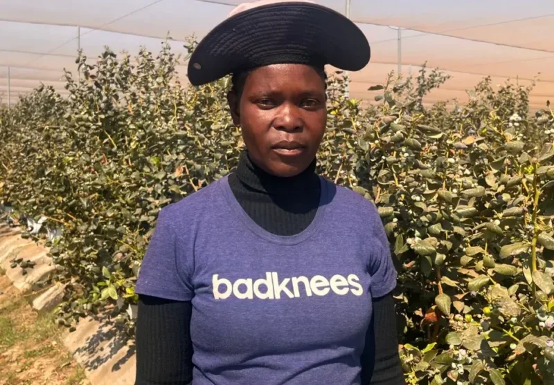Rebecca Bonzo says blueberry farms are a source of employment for women