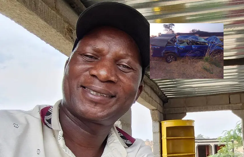 Opposition parliamentarian and poet dies after car hits elephant