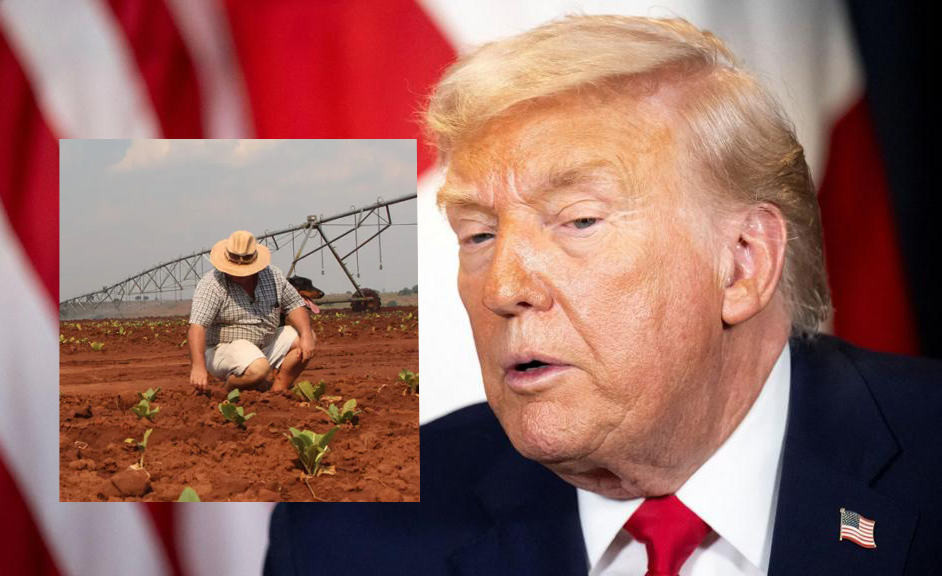 The Zimbabwe Gazette: Breaking Zimbabwe, Africa, World News