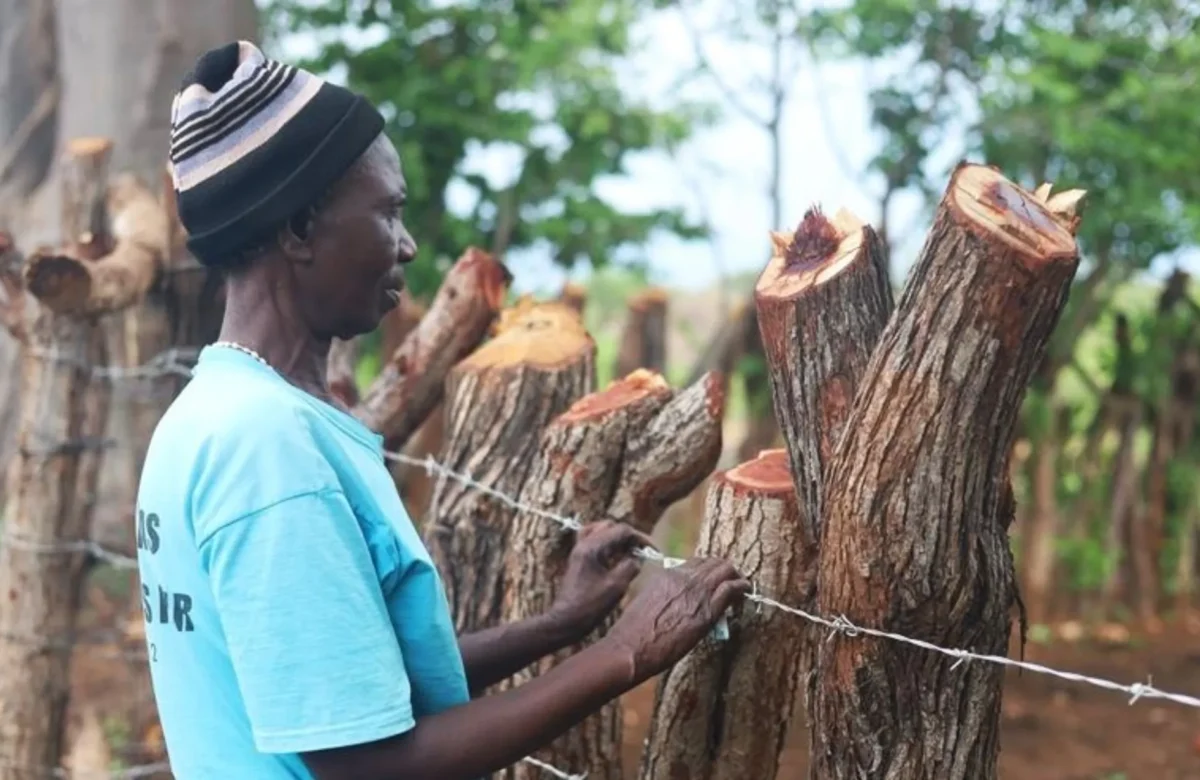 The Zimbabwe Gazette: Breaking Zimbabwe, Africa, World News