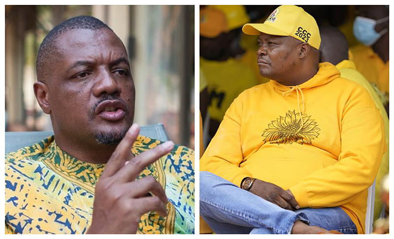 The Zimbabwe Gazette: Breaking Zimbabwe, Africa, World News