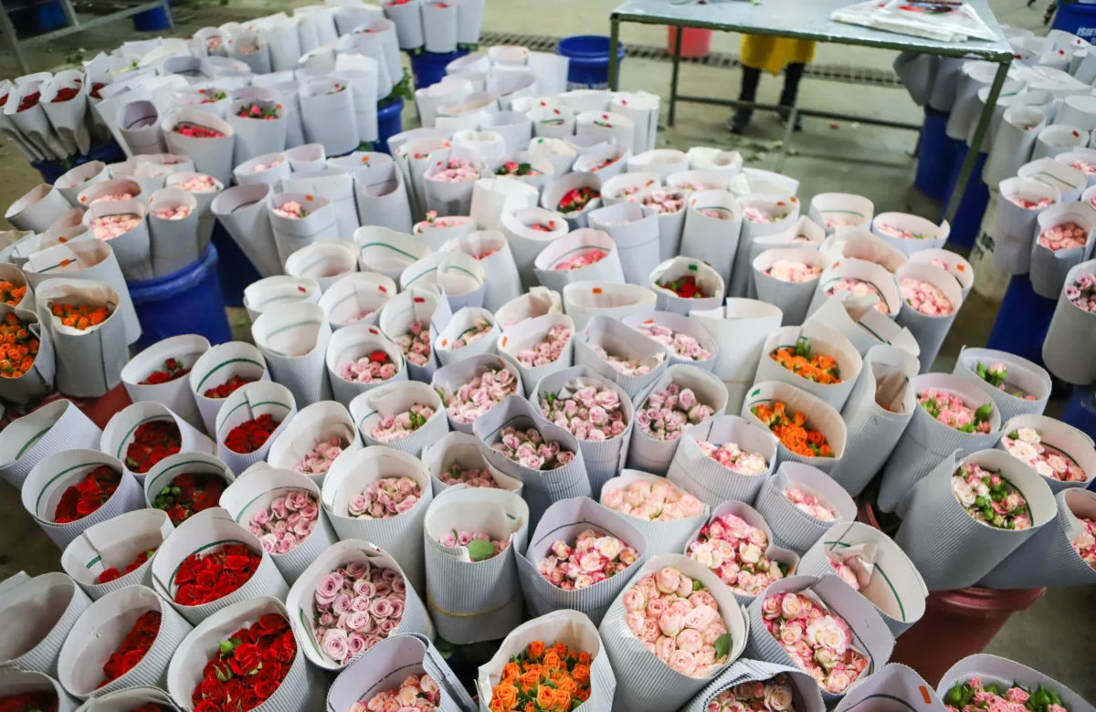 The Zimbabwe Gazette: Breaking Zimbabwe, Africa, World News