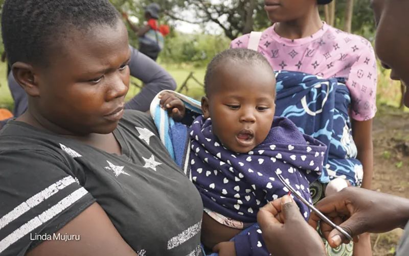 The Zimbabwe Gazette: Breaking Zimbabwe, Africa, World News