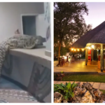 VIC FALLS: Shocking moment hungry crocodile walks into hotel restaurant and leaps over counter into kitchen – leaving diners stunned