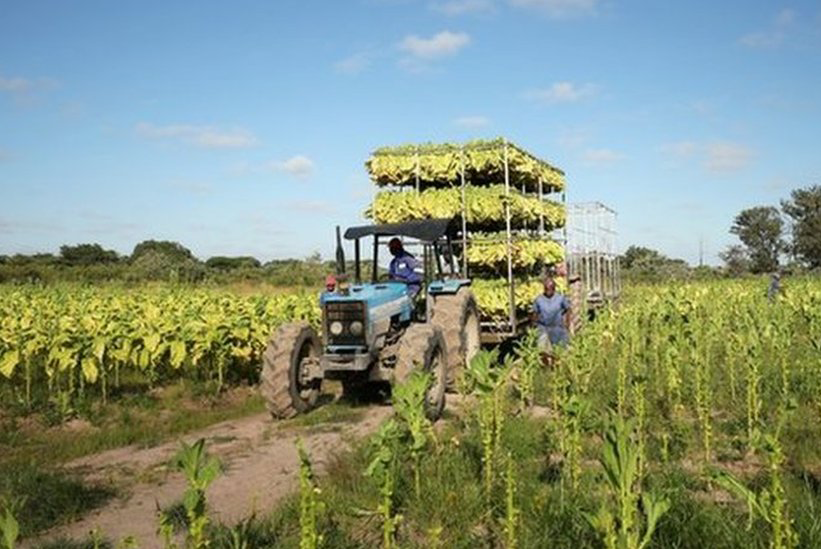 The Zimbabwe Gazette: Breaking Zimbabwe, Africa, World News