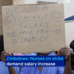 ‘It’s actually an insult’: Zimbabwe’s nurses go on strike over salary increases