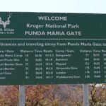 SA: Third suspect arrested in Zimbabwe for Kruger park murders