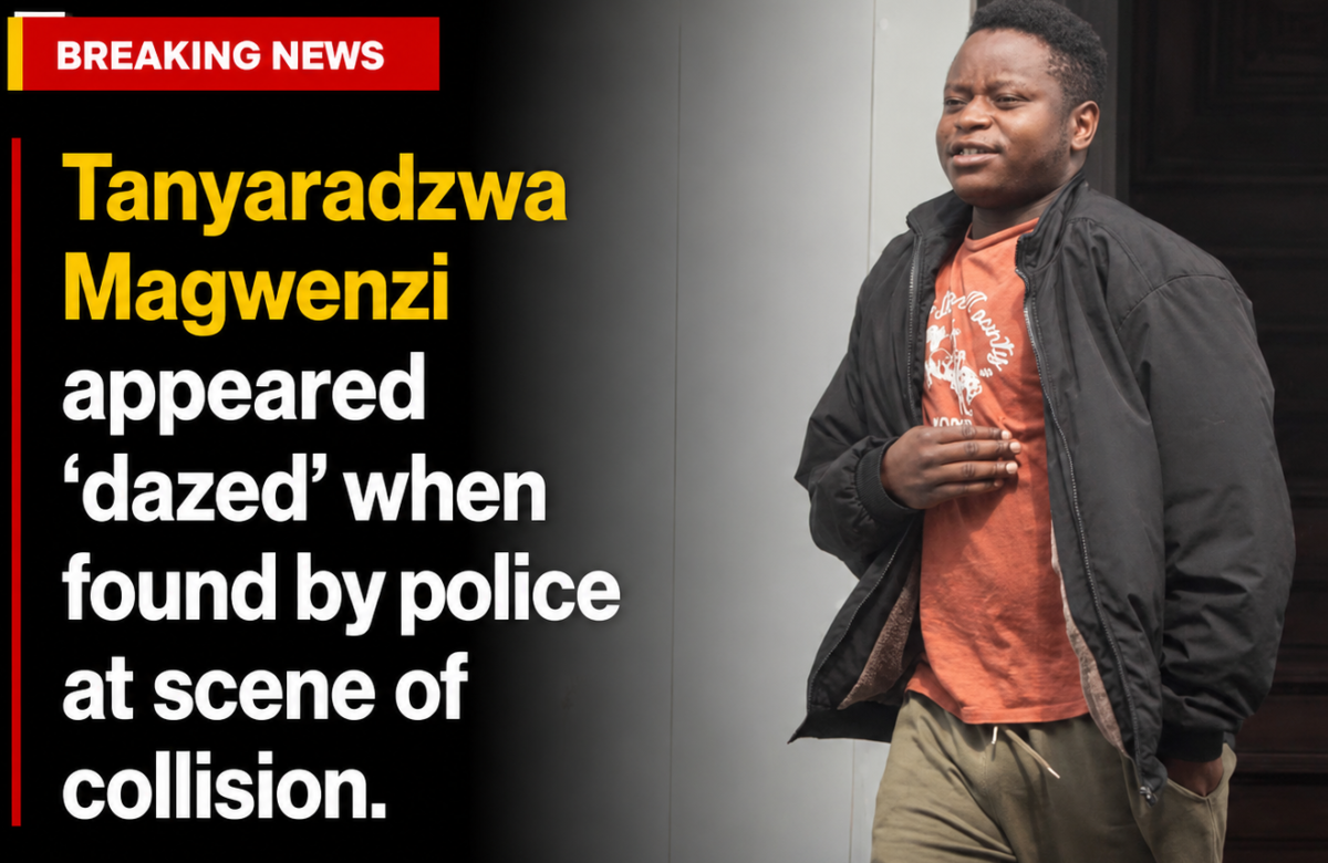 The Zimbabwe Gazette: Breaking Zimbabwe, Africa, World News