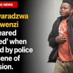 UK: Zim drink-driver crashed while three times over limit; warned 'if you don't pay, bailiffs will come knocking'