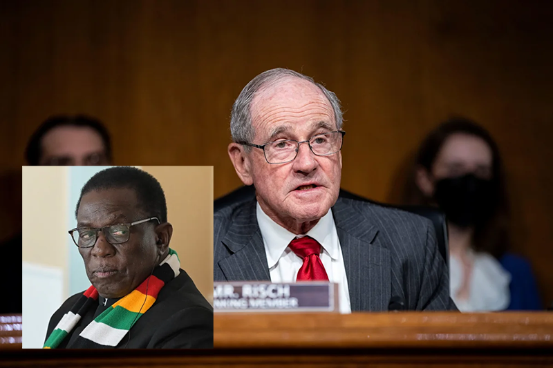 The Zimbabwe Gazette: Breaking Zimbabwe, Africa, World News