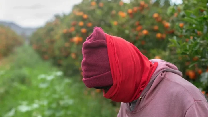 South Africa’s migrant exodus leaves employers struggling; factories, farms face serious labour shortages