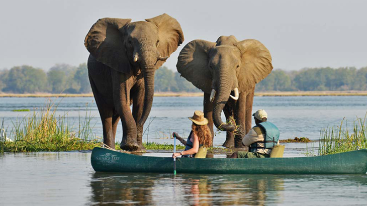 Mana Pools closed after floods cut off access to Zimbabwe’s safari park