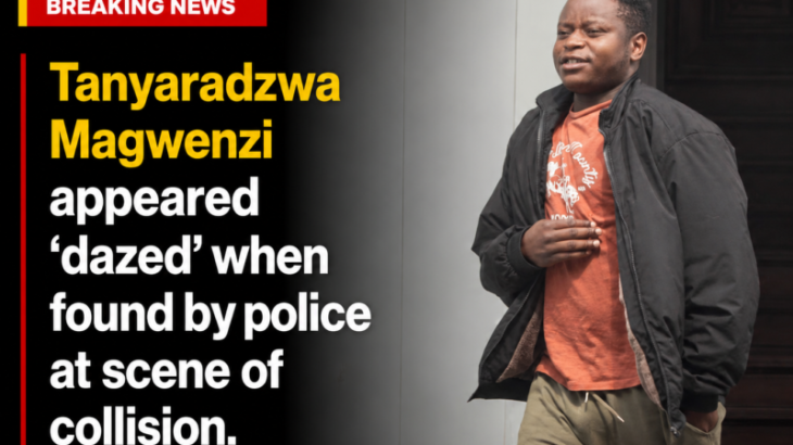UK: Zim drink-driver crashed while three times over limit; warned ‘if you don’t pay, bailiffs will come knocking’